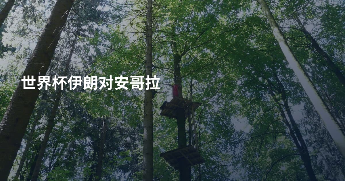 世界杯伊朗对安哥拉