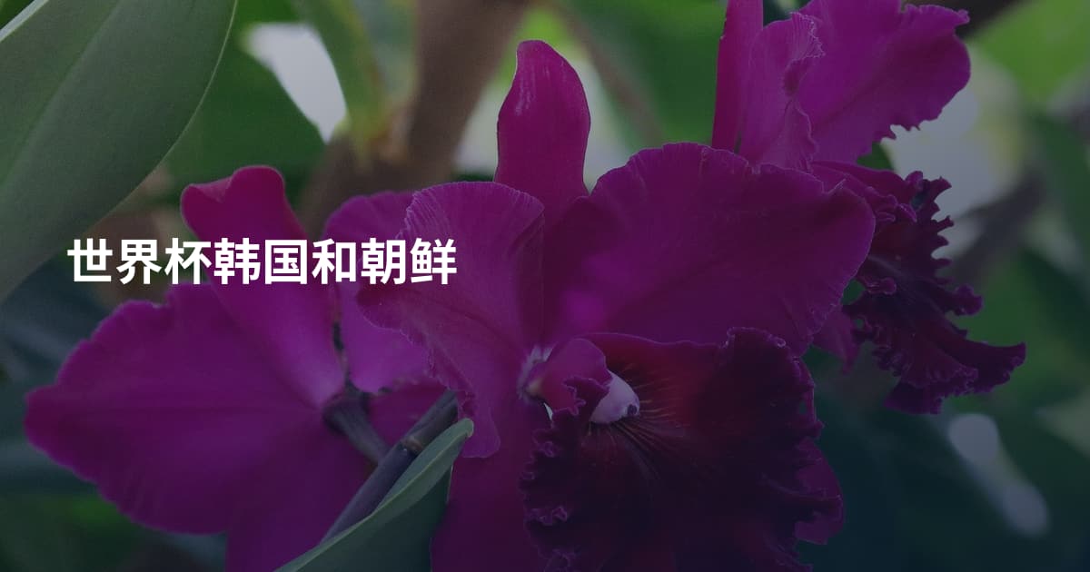 世界杯韩国和朝鲜