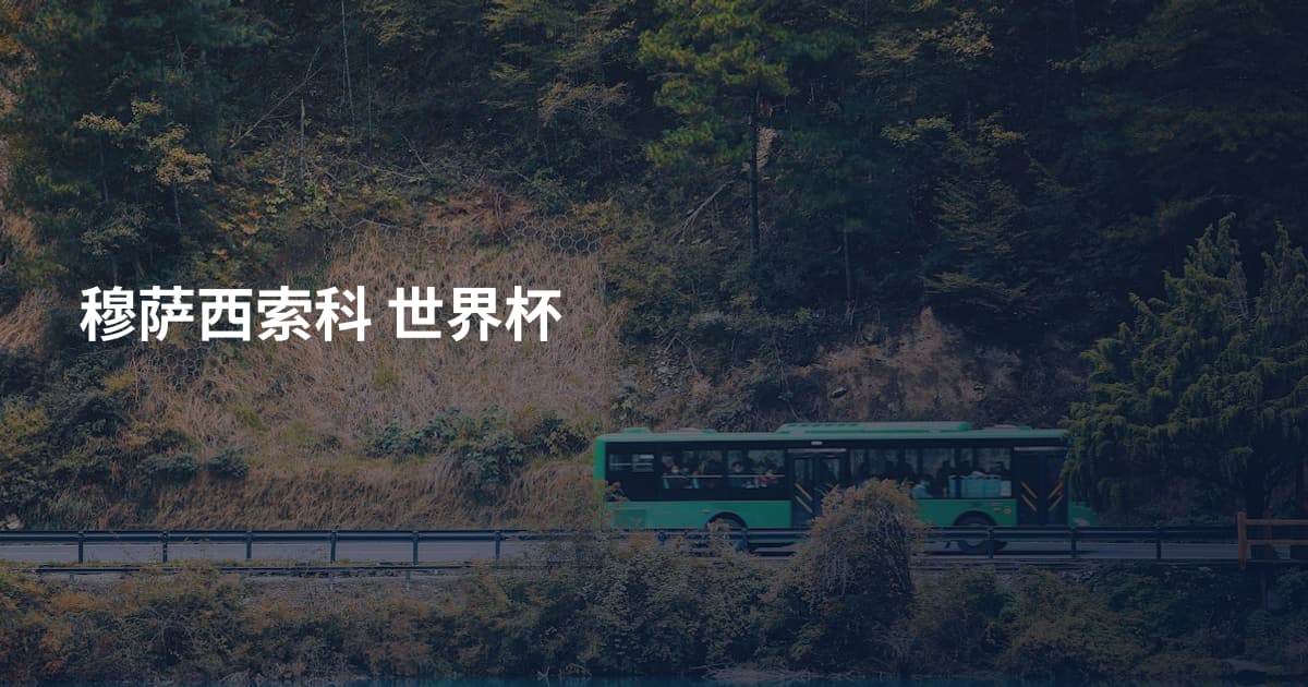 穆萨西索科 世界杯