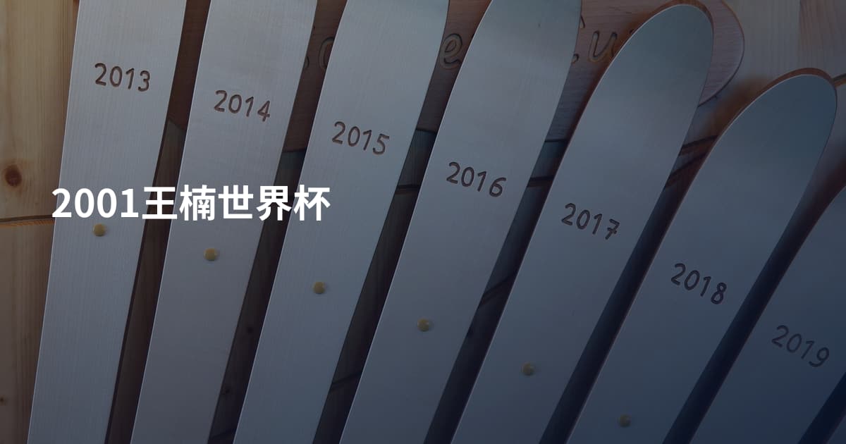 2001王楠世界杯