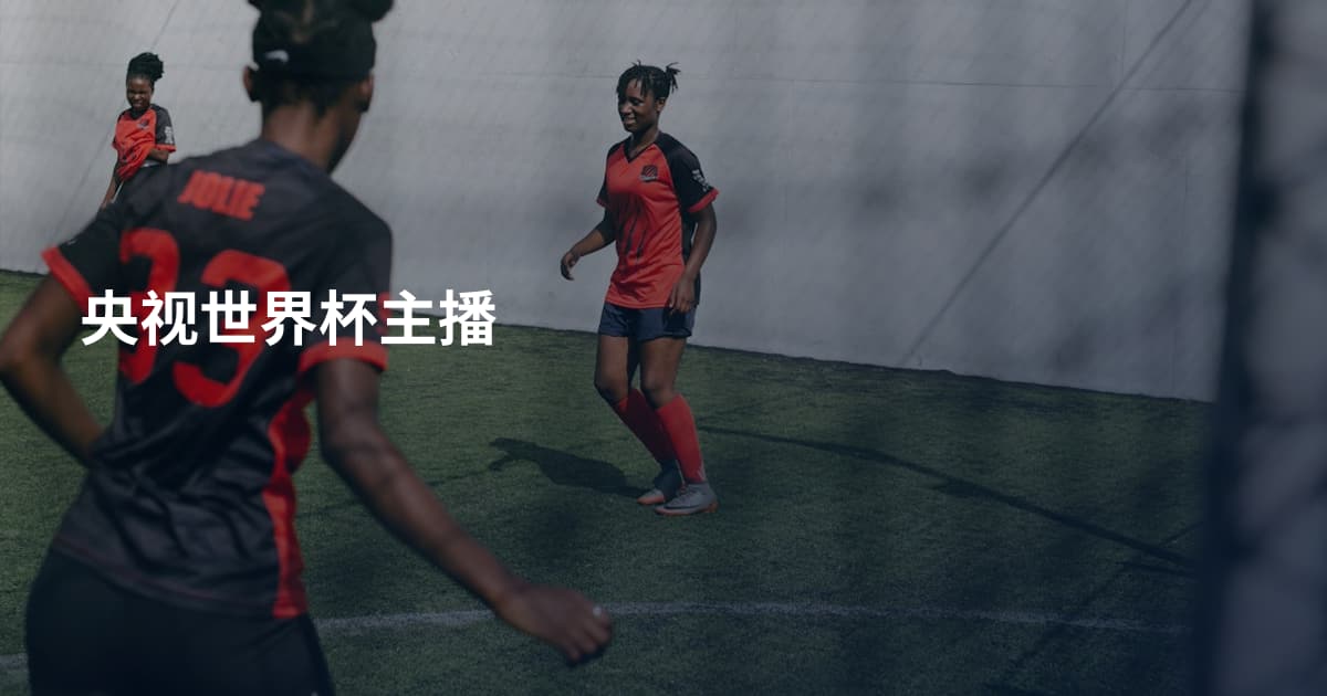 央视世界杯主播