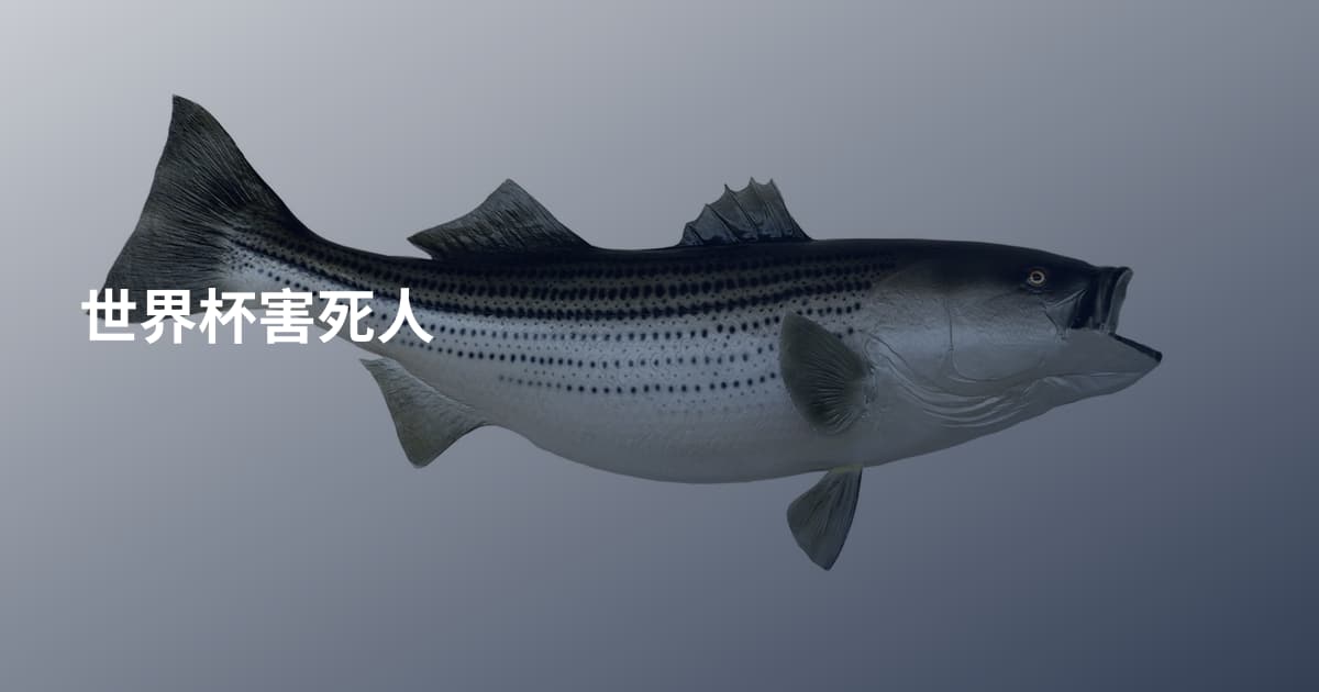 世界杯害死人