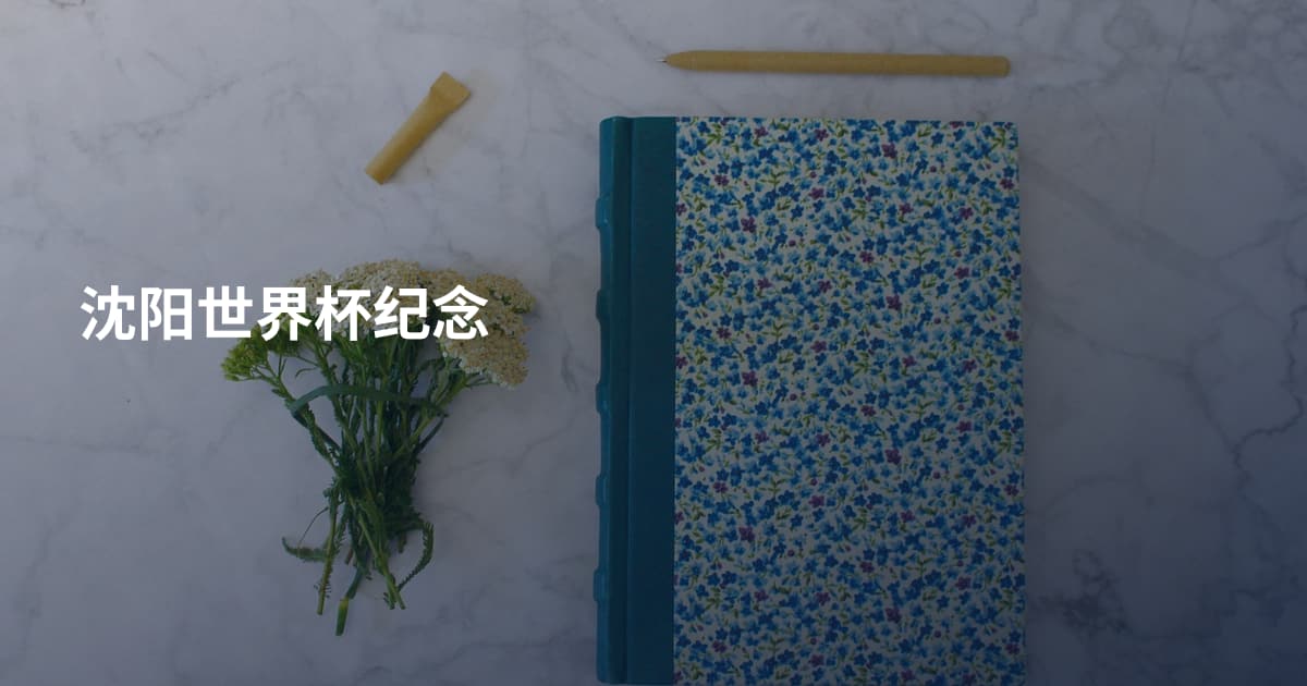 沈阳世界杯纪念