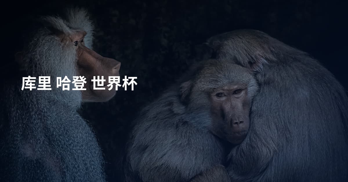 库里 哈登 世界杯