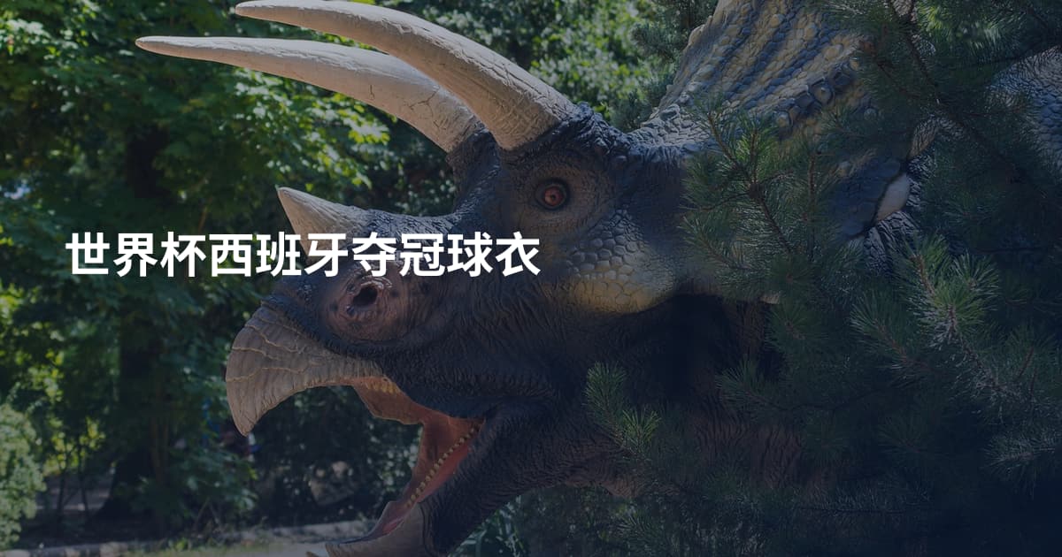 世界杯西班牙夺冠球衣