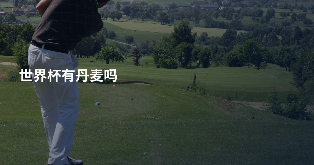 世界杯有丹麦吗