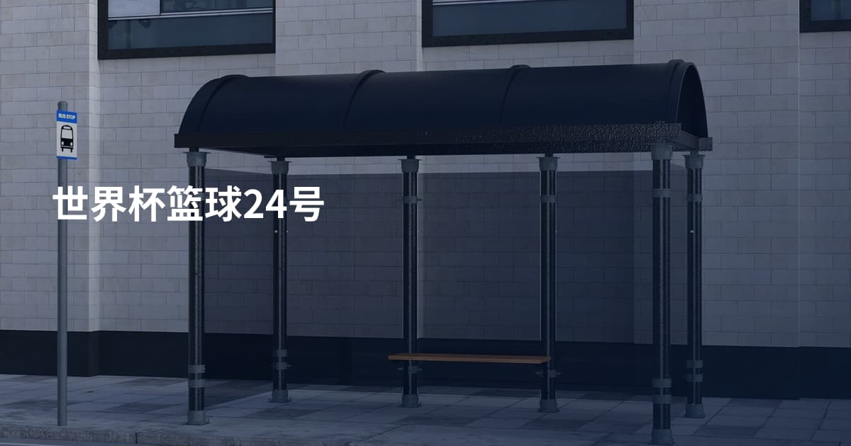 世界杯篮球24号