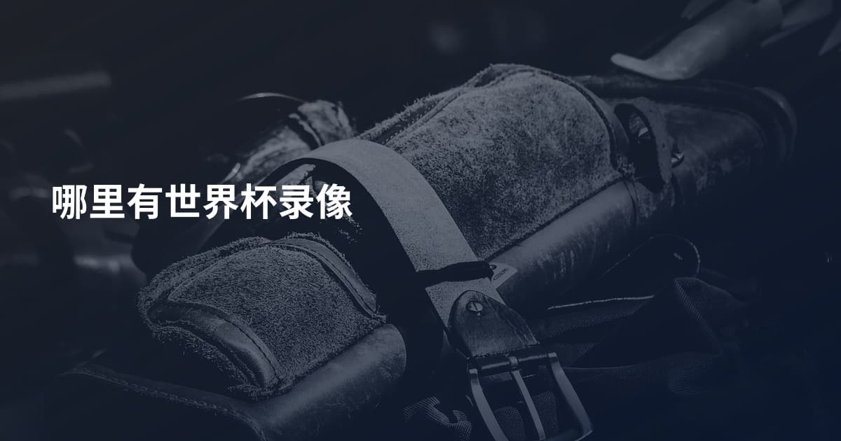 哪里有世界杯录像