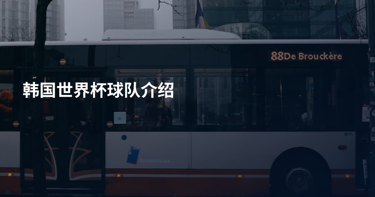 韩国世界杯球队介绍