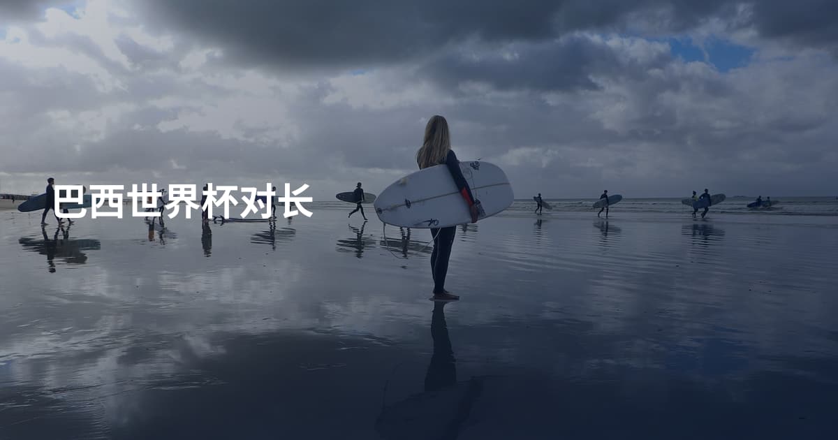 巴西世界杯对长