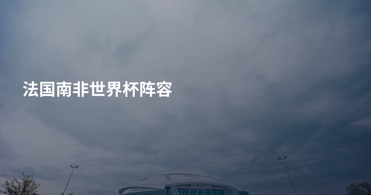 法国南非世界杯阵容