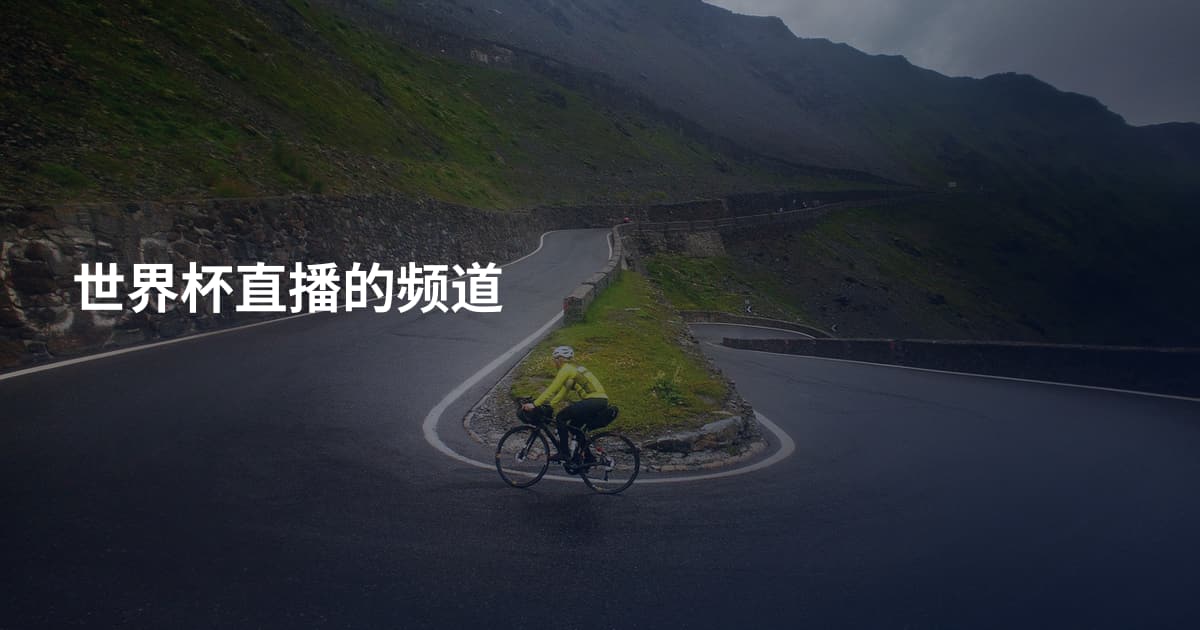 世界杯直播的频道
