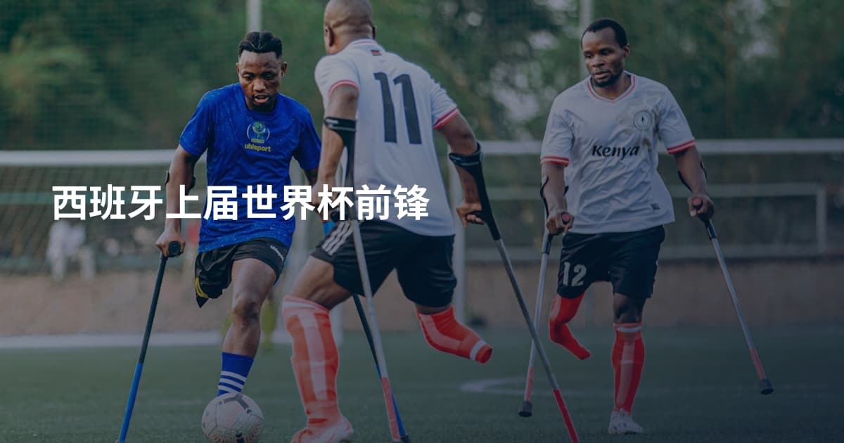 西班牙上届世界杯前锋