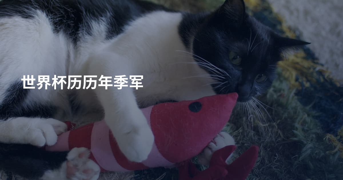 世界杯历历年季军
