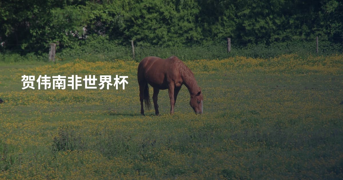 贺伟南非世界杯