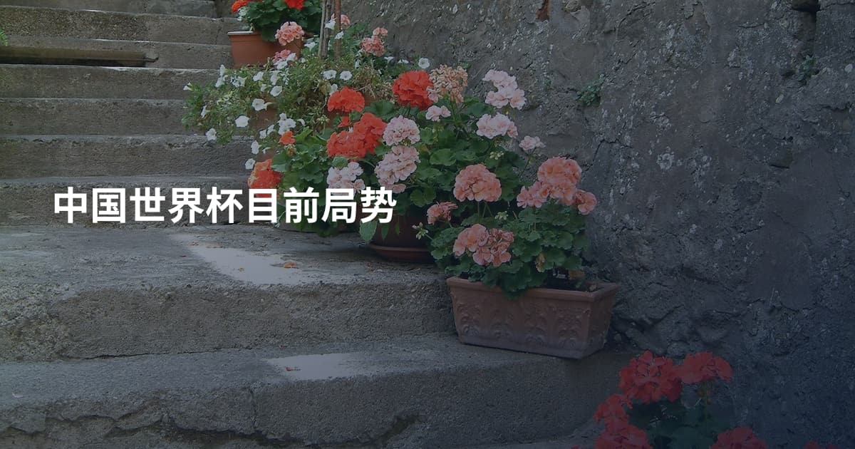 中国世界杯目前局势