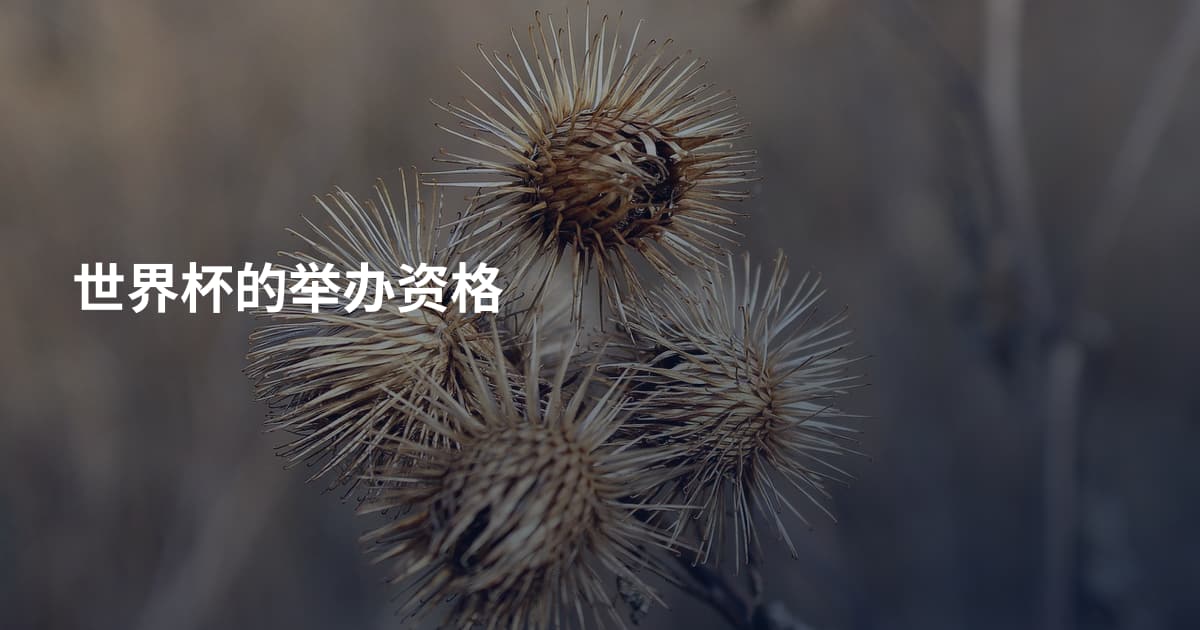世界杯的举办资格