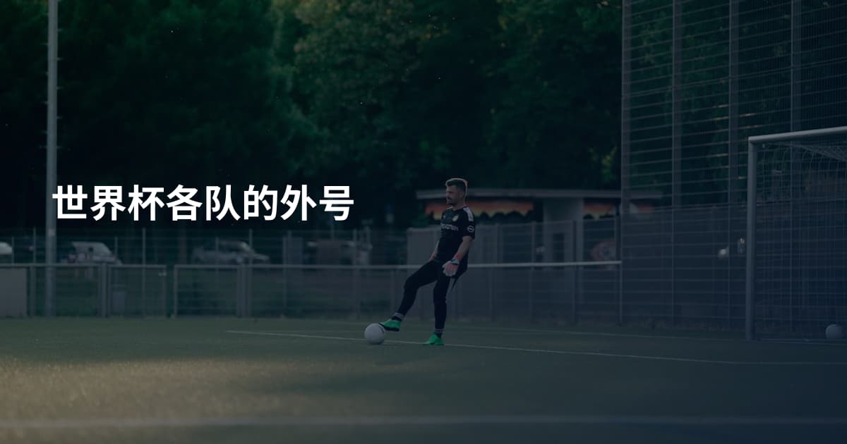 世界杯各队的外号
