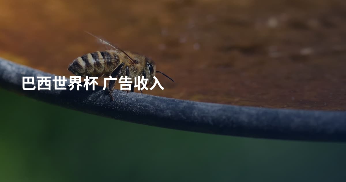巴西世界杯 广告收入