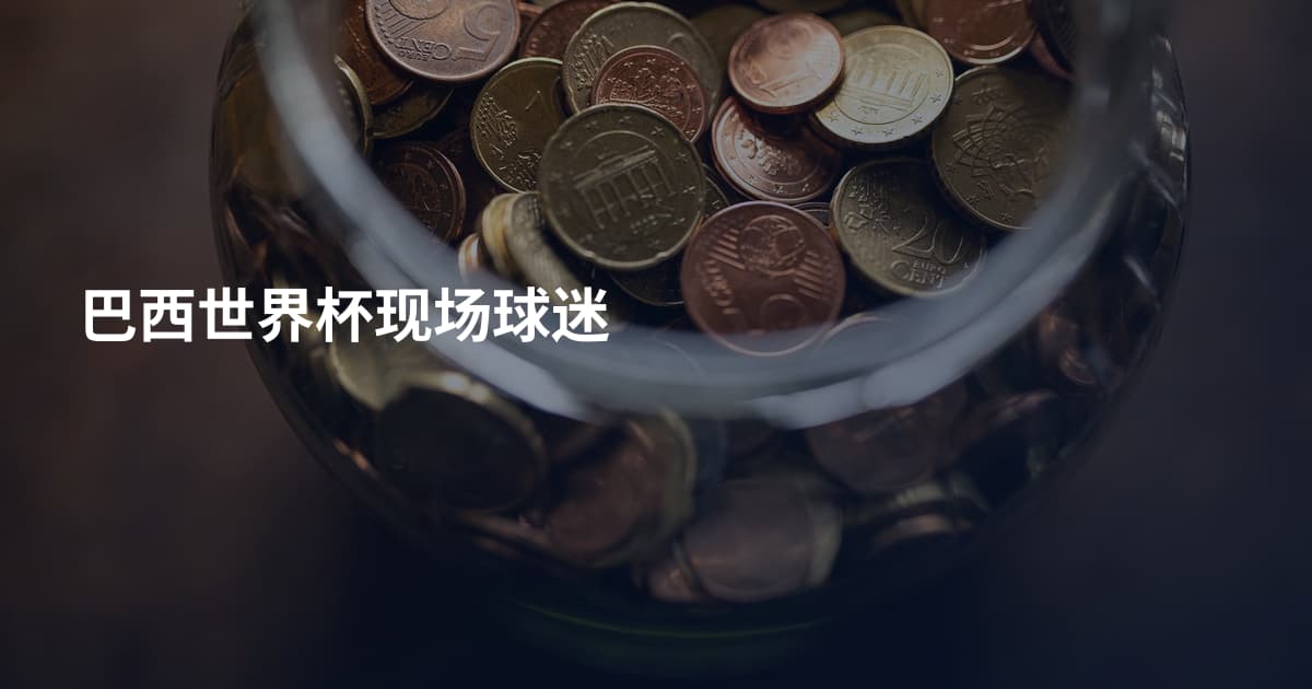 巴西世界杯现场球迷