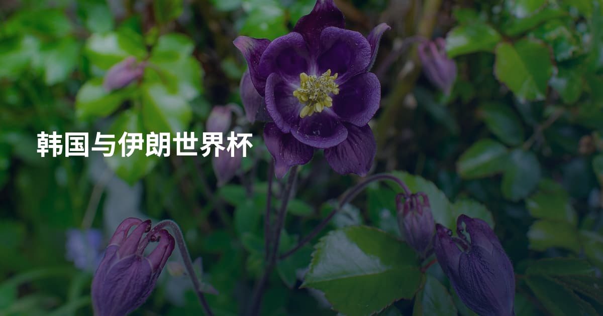 韩国与伊朗世界杯
