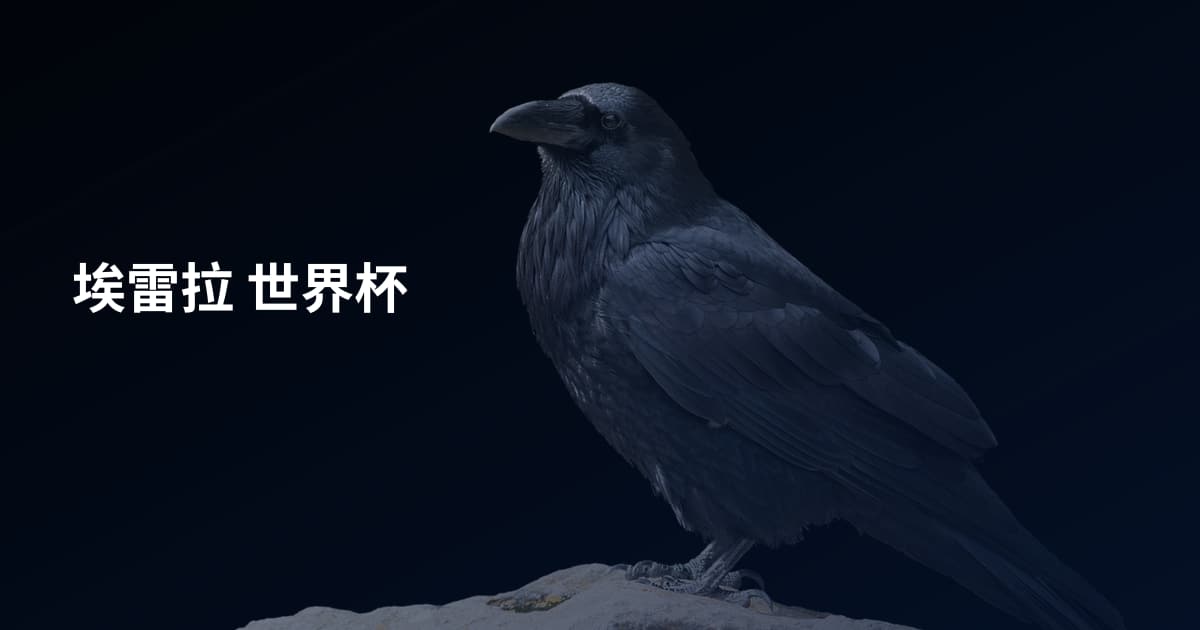 埃雷拉 世界杯