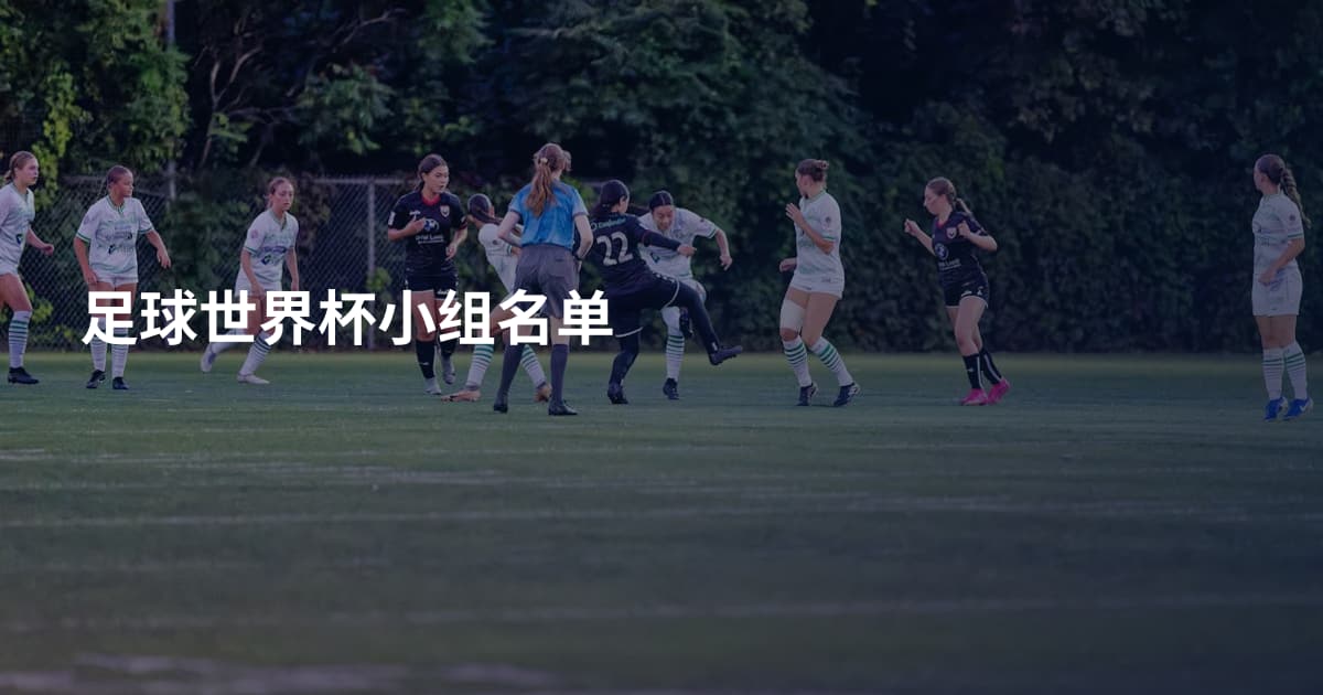 足球世界杯小组名单