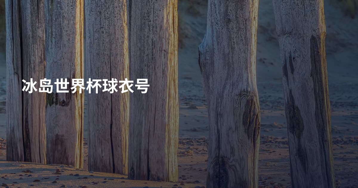 冰岛世界杯球衣号