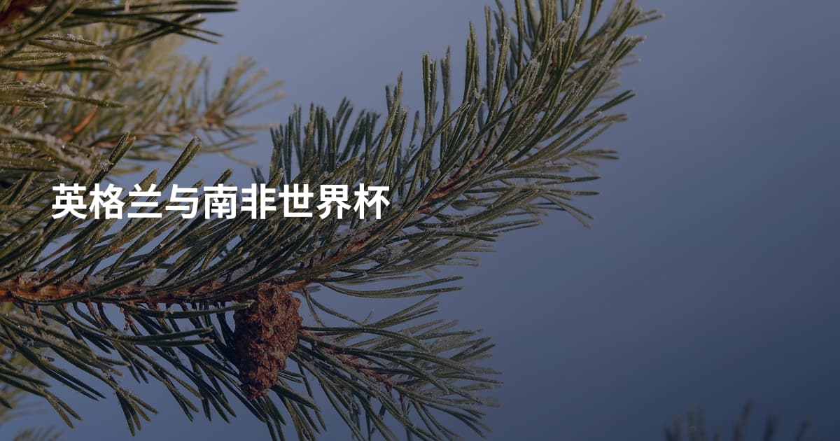 英格兰与南非世界杯