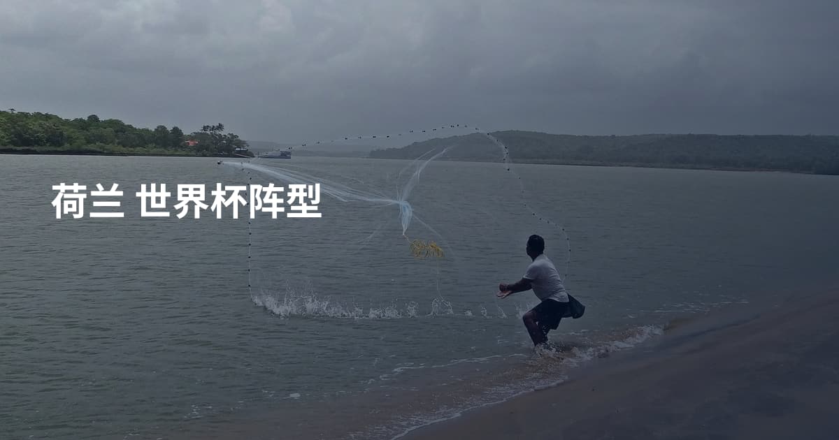 荷兰 世界杯阵型