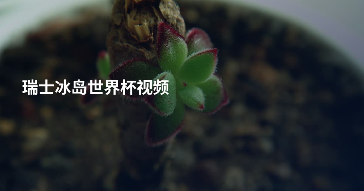 瑞士冰岛世界杯视频