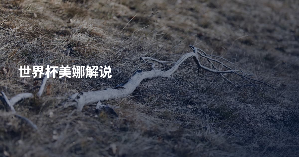 世界杯美娜解说