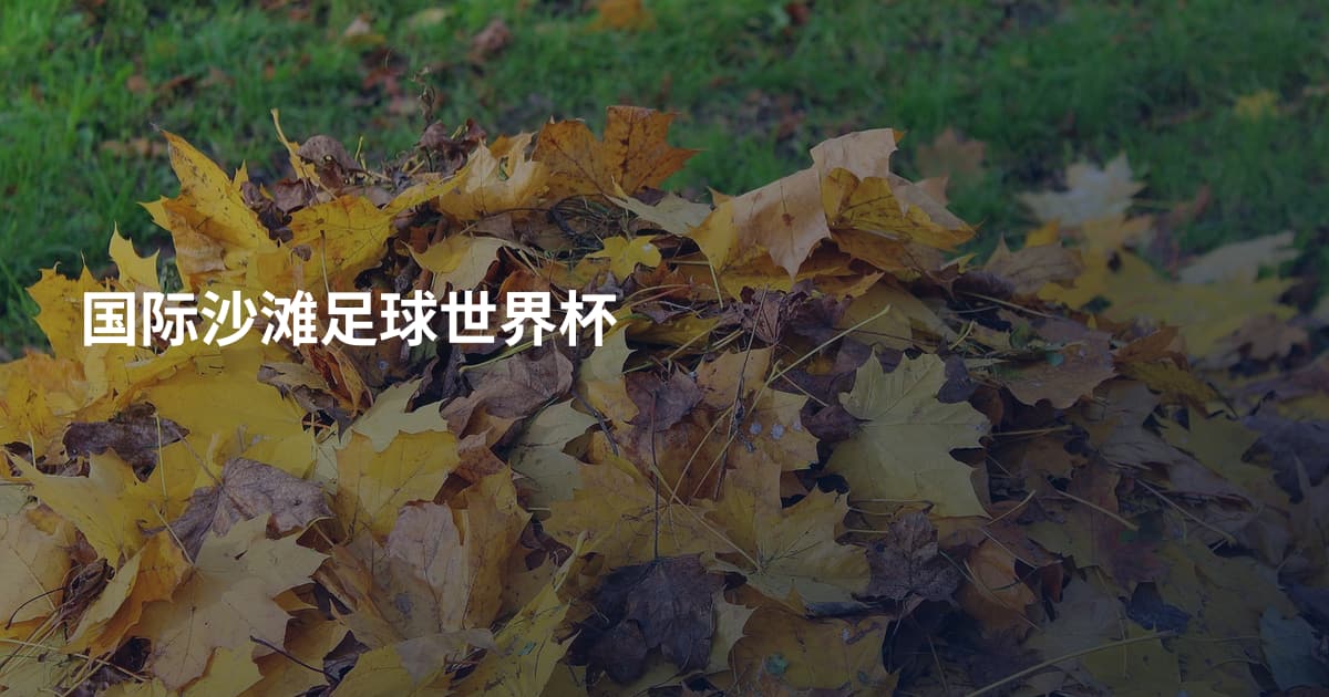 国际沙滩足球世界杯