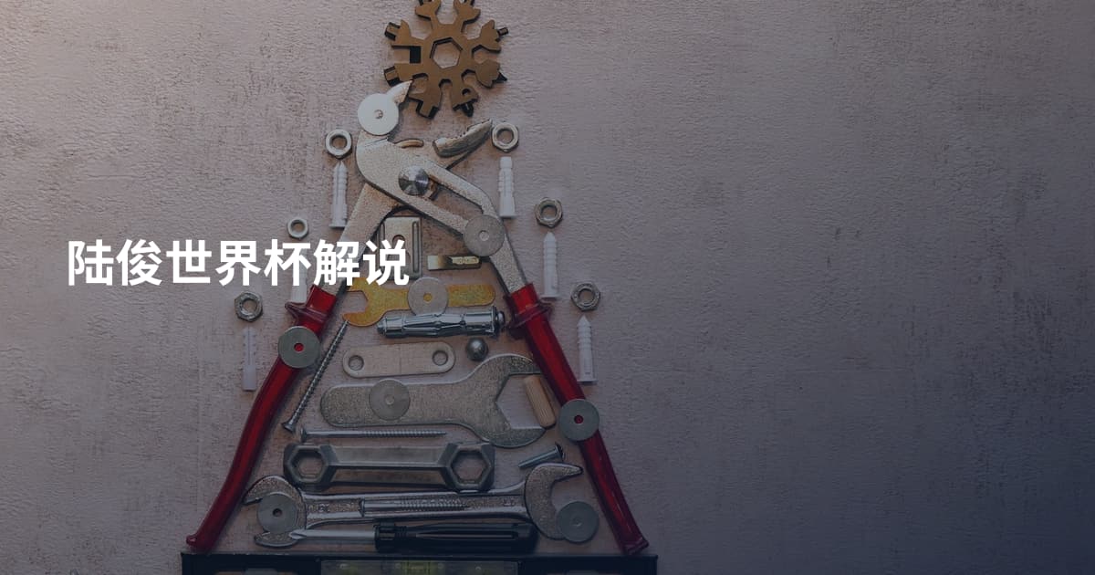 陆俊世界杯解说