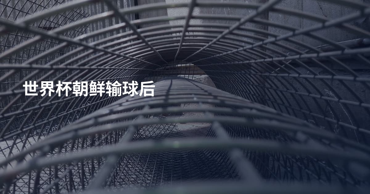 世界杯朝鲜输球后