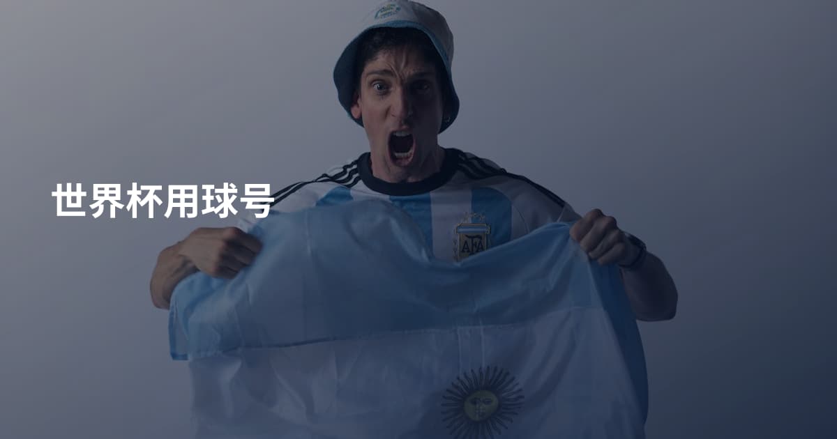 世界杯用球号
