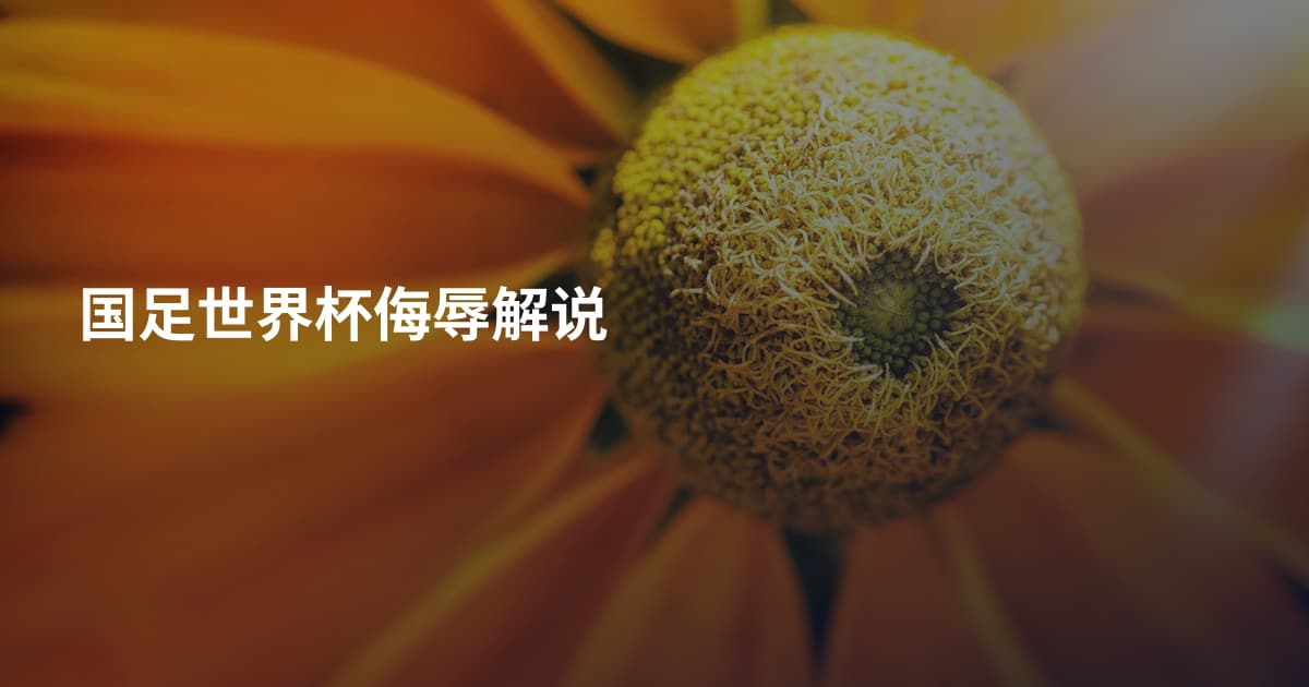 国足世界杯侮辱解说