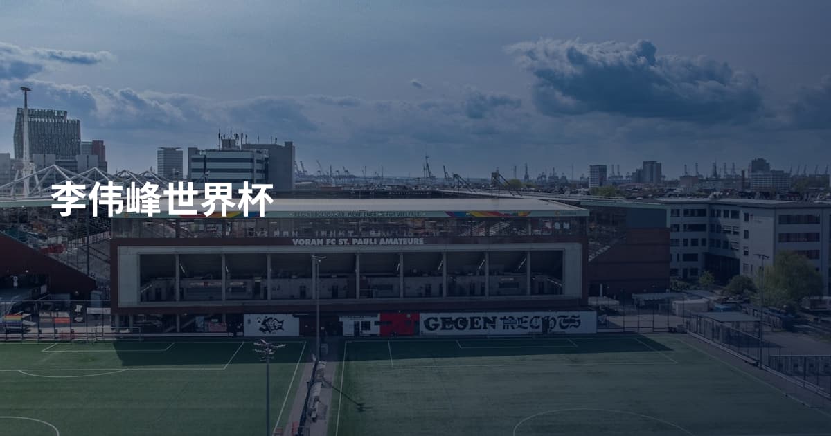 李伟峰世界杯
