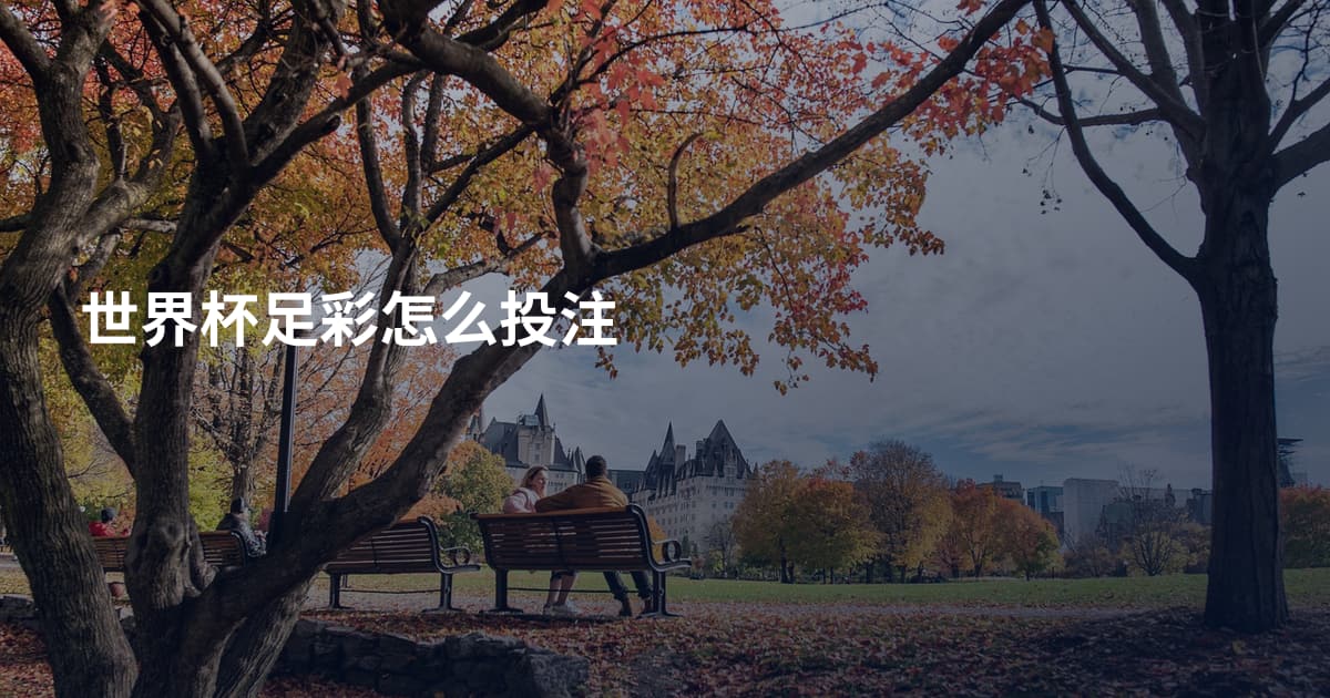 世界杯足彩怎么投注