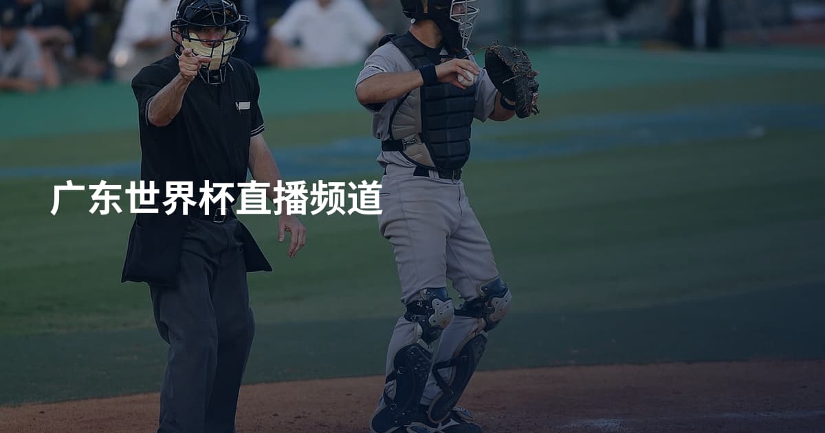广东世界杯直播频道