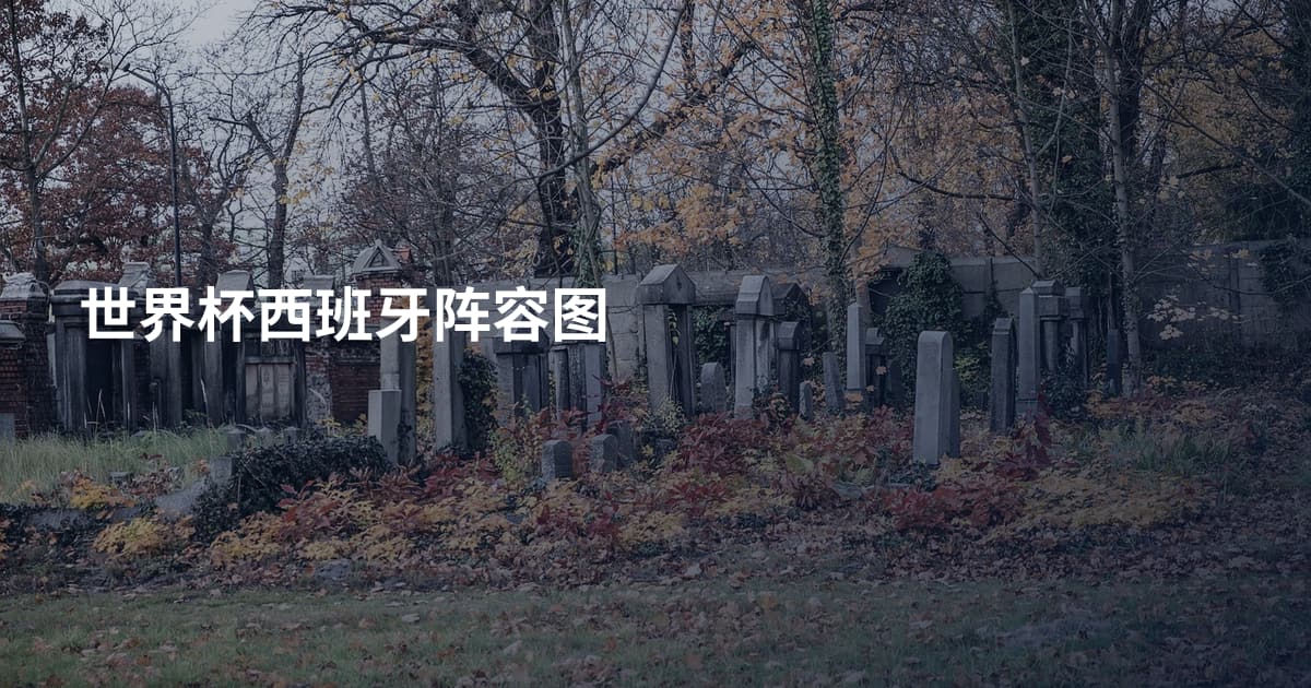 世界杯西班牙阵容图