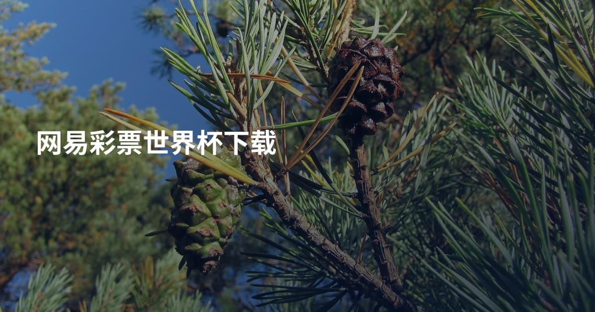 网易彩票世界杯下载