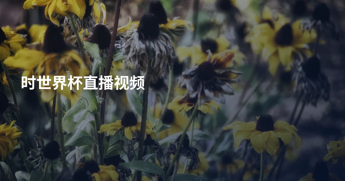 时世界杯直播视频