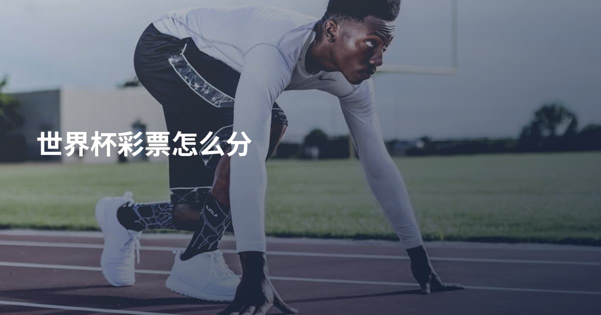 世界杯彩票怎么分