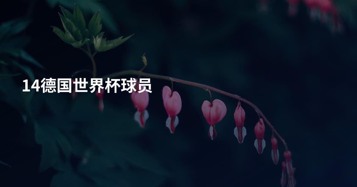 14德国世界杯球员