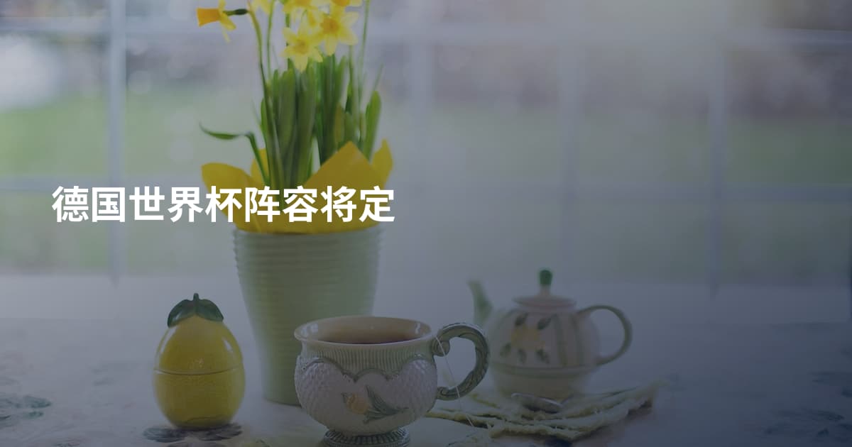 德国世界杯阵容将定