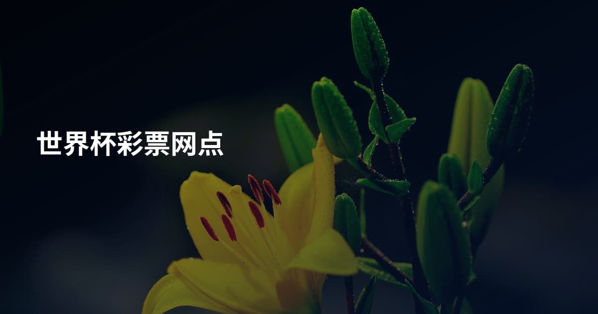 世界杯彩票网点