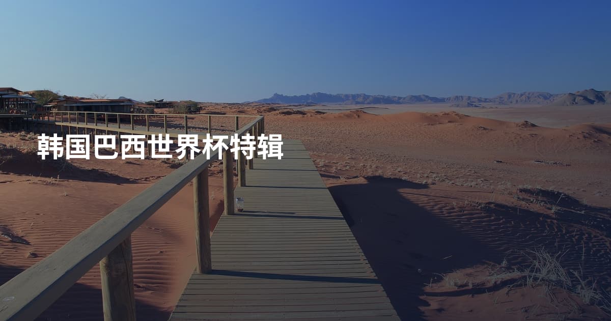 韩国巴西世界杯特辑