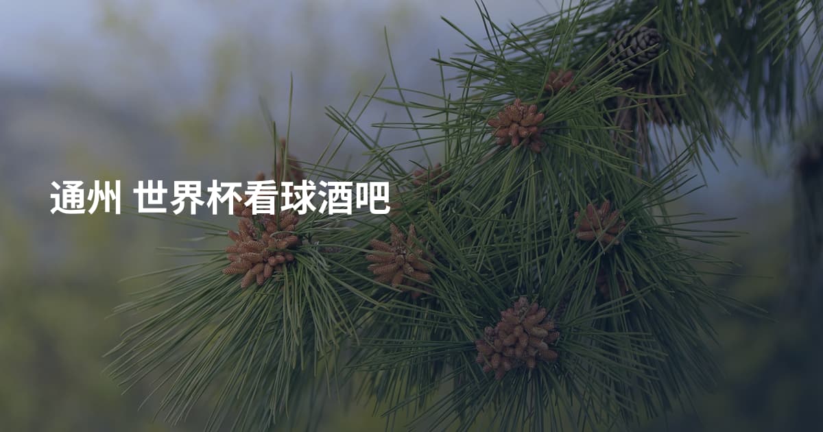 通州 世界杯看球酒吧