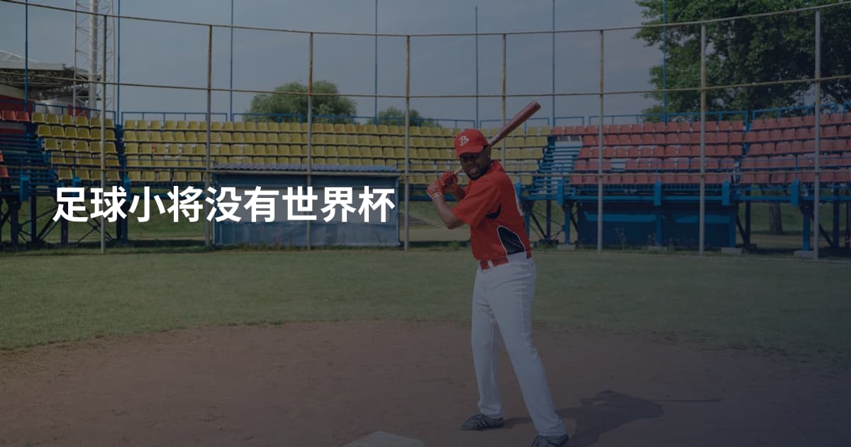 足球小将没有世界杯